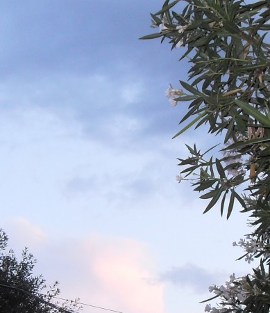 Ancora il tenue rosa che precede la sera.